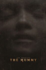 Lee Cronin’s The Mummy